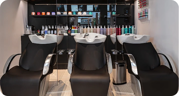 Ford Salon
